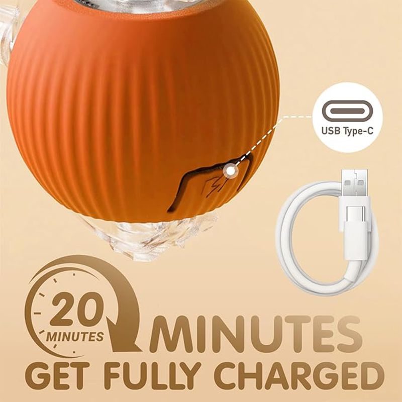 Kitten Rechargeable Smart Pet Electric Toys