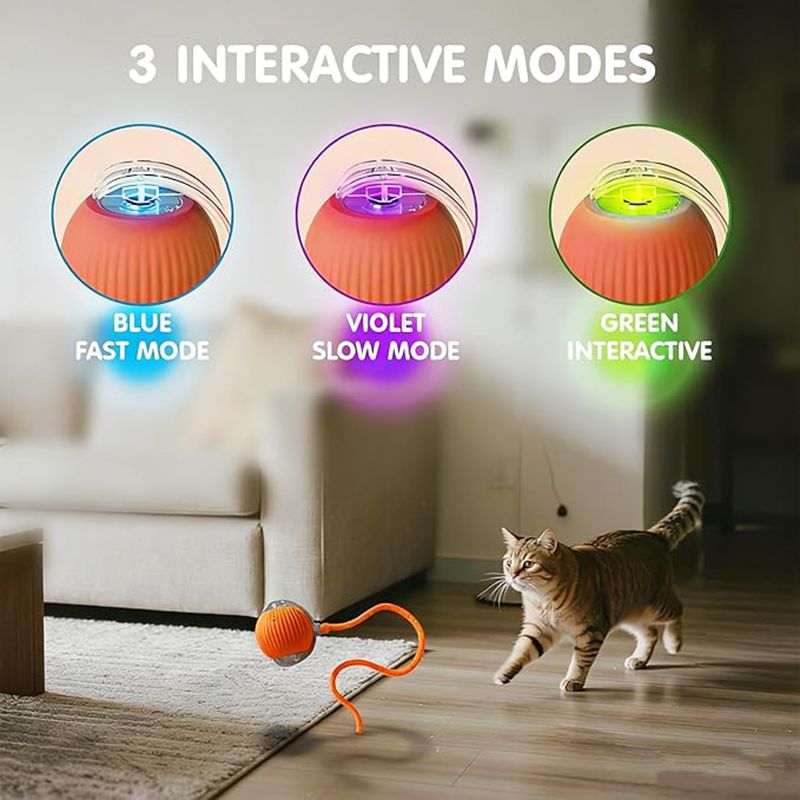 Kitten Rechargeable Smart Pet Electric Toys