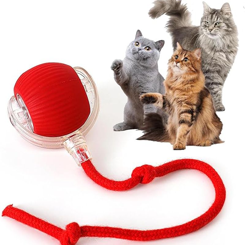 Kitten Rechargeable Smart Pet Electric Toys
