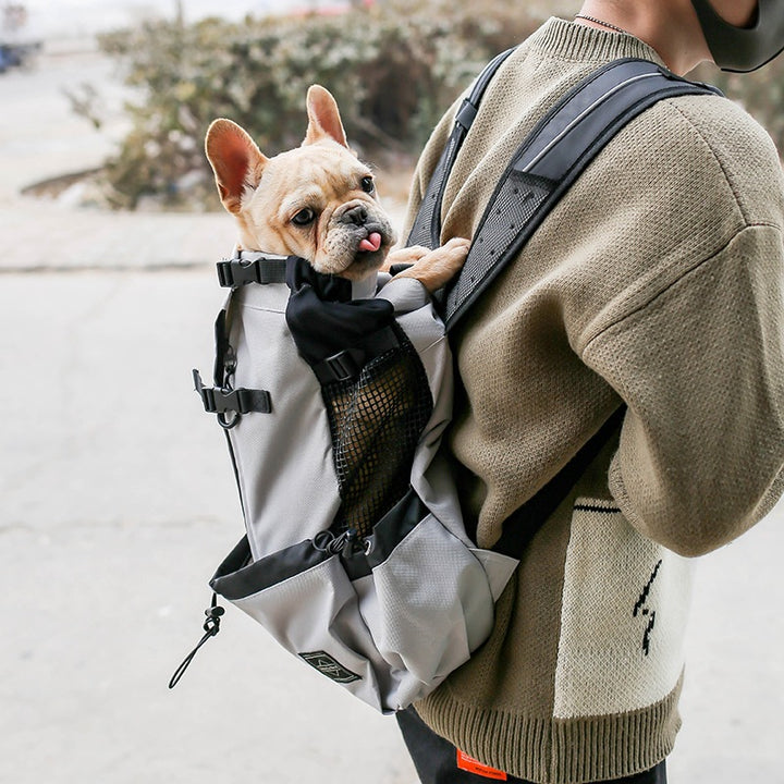Portable Dog Carrier Backpack for Travel