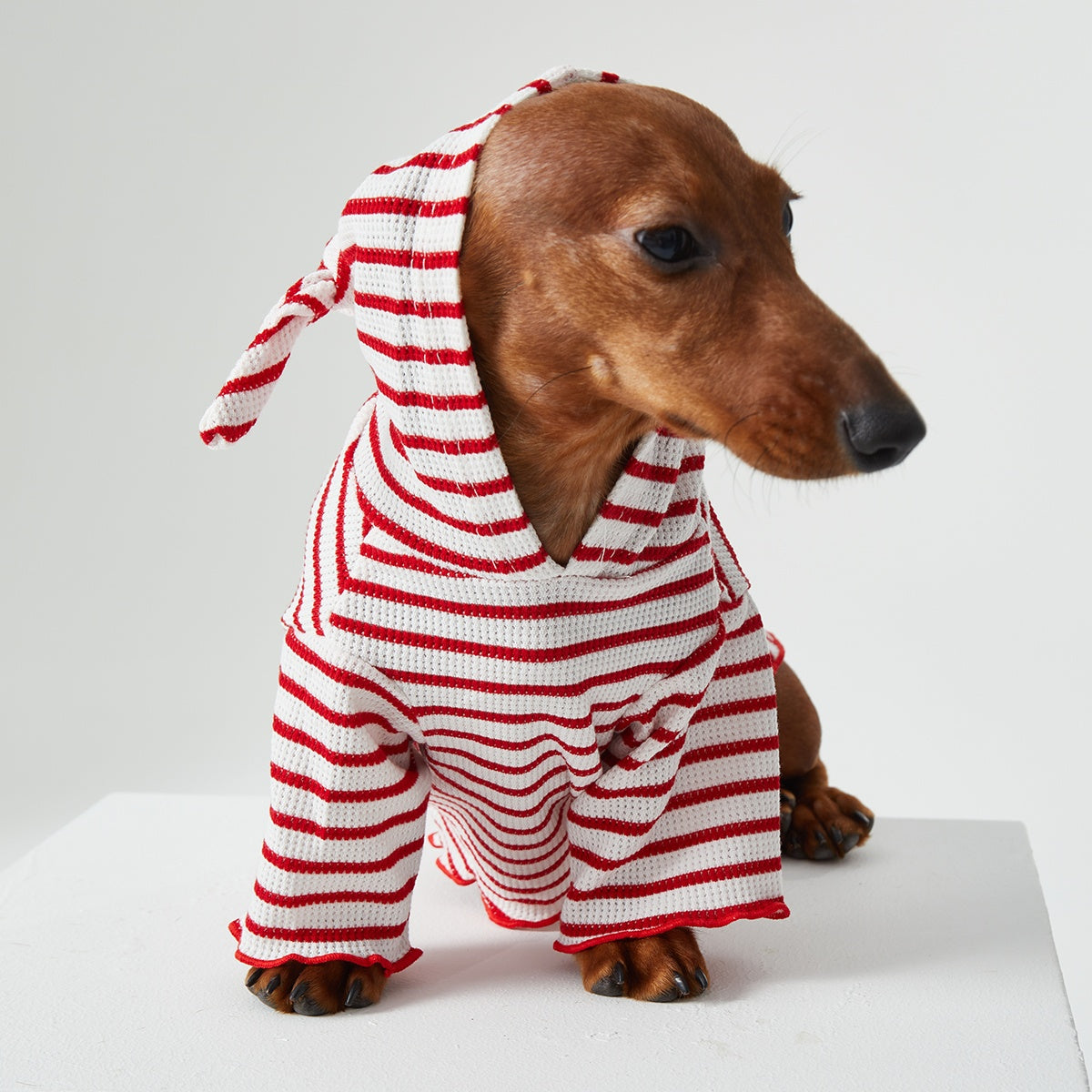 Pet Clothes Striped Hooded CAT Two Feet Apparel