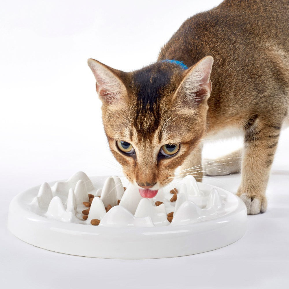 Slow Food Ceramic Cat Bowl