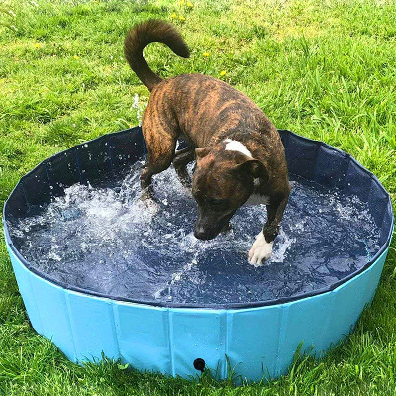 Foldable Pet Bathing Pool Collapsible Dog & Cat Tub