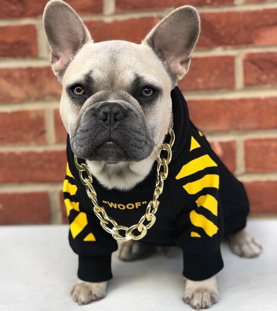 Pet Fashion Brand Three-Stripe Dog Sweater Clothes
