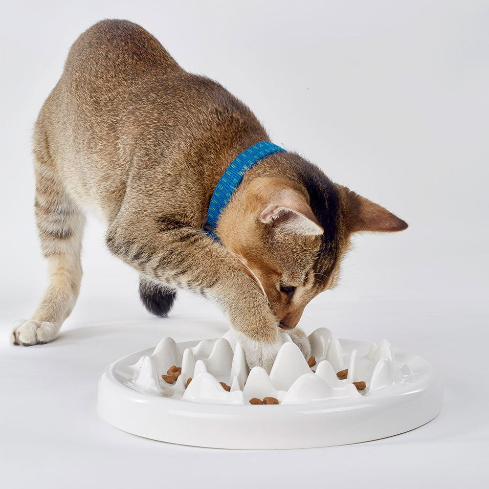 Slow Food Ceramic Cat Bowl