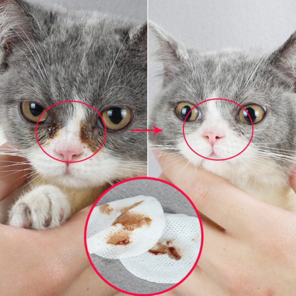 Pet Eye Cleaning Wipes Gentle Tear Stain Removal for Dogs & Cats