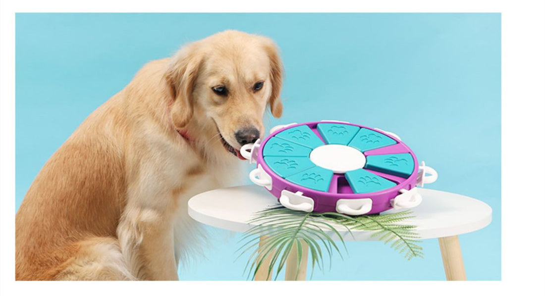 Puzzle Increase IQ Interactive Puppy Dog Toys