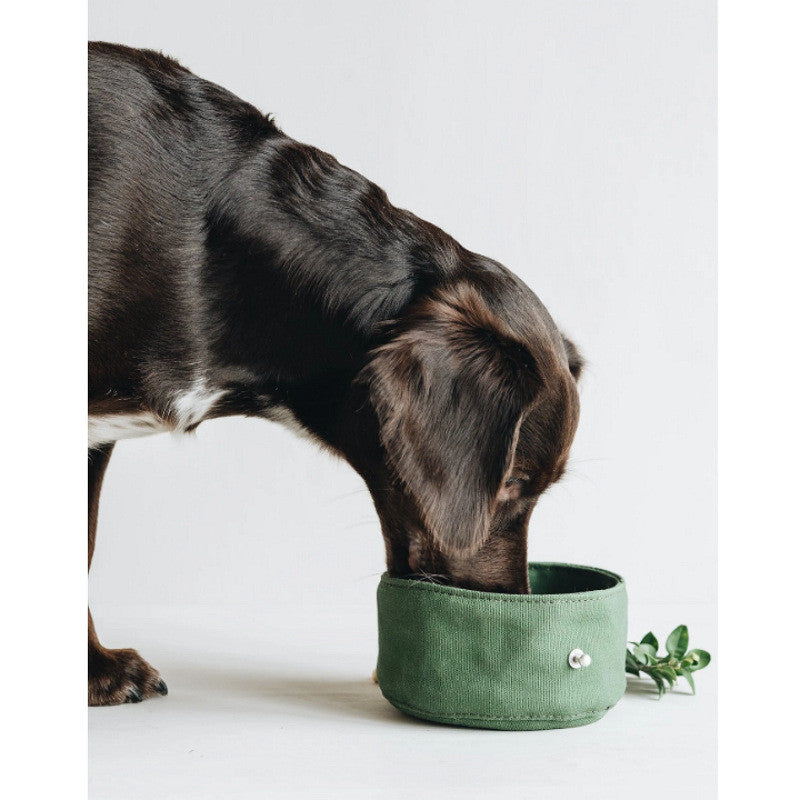 Pet Tableware Drinking Water & Feeding Bowl