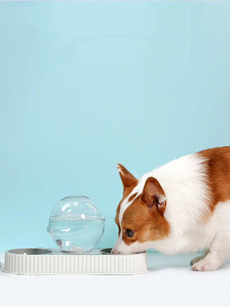 Plastic Pet Feeding Drinkers & Automatic Feeder