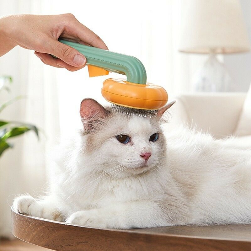 Pet Pumpkin Slicker Brush Self-Cleaning Groomer for Dogs & Cats