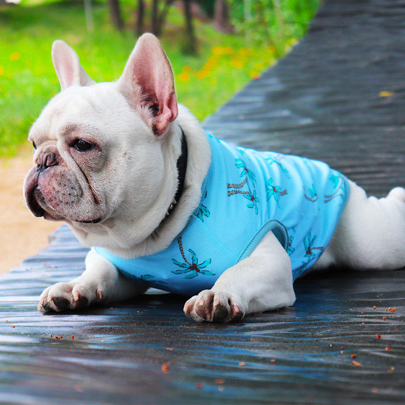Pet dog clothes summer thin cat Teddy