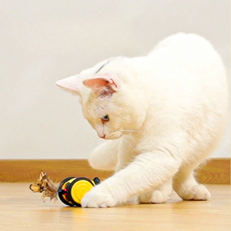 Pet Kitten Electric Cute Cat Bee Running Toys