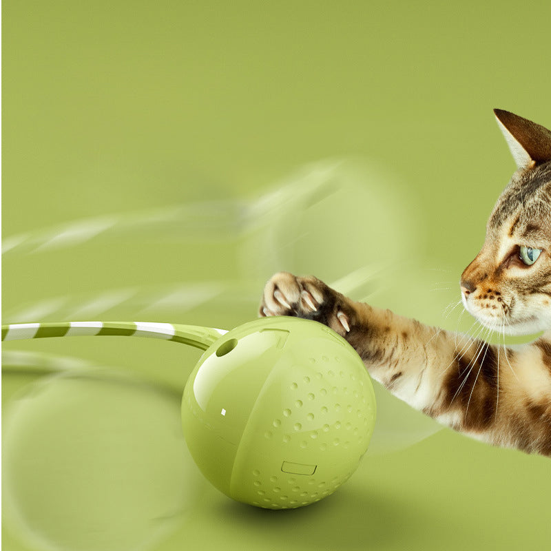 Interactive Electric Balls Pet Cat Ball Toy