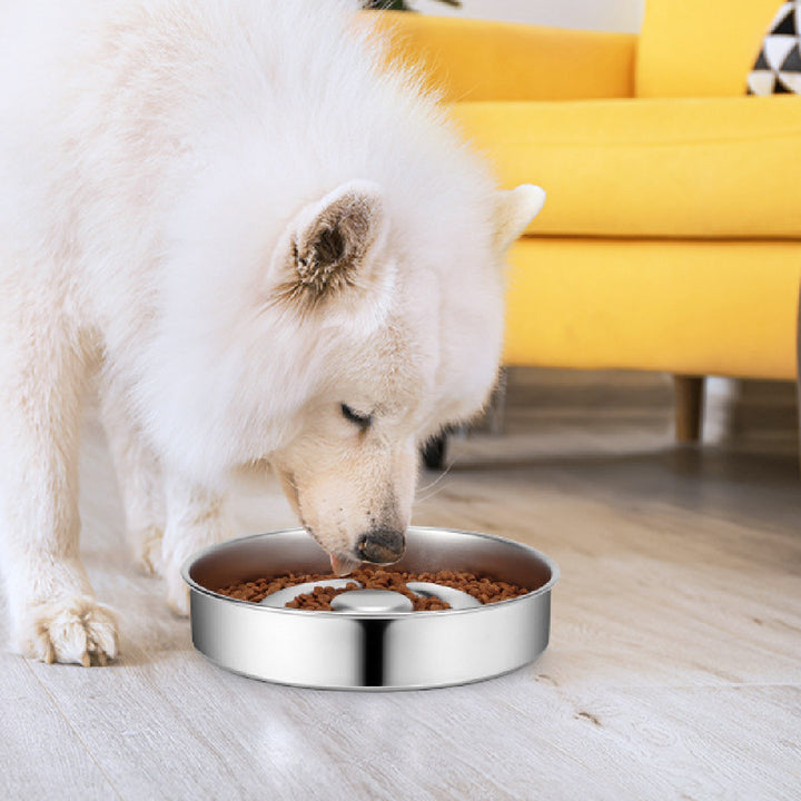 Pet Slow Stainless Steel Neck Protector Feeding Bowl
