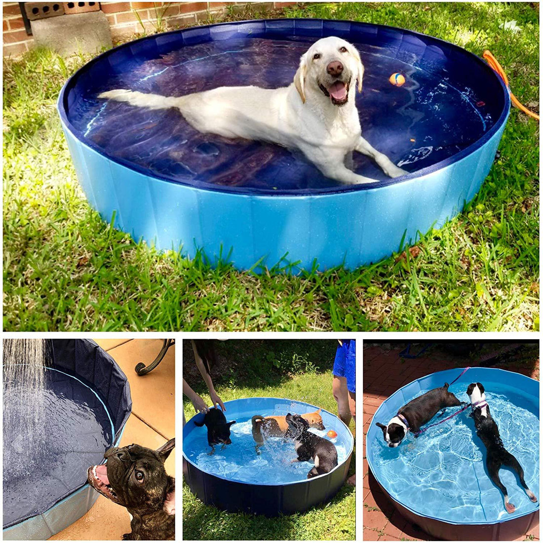 Foldable Pet Bathing Pool Collapsible Dog & Cat Tub