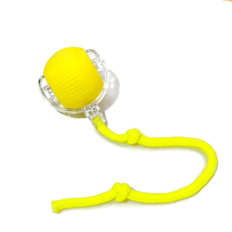 Kitten Rechargeable Smart Pet Electric Toys