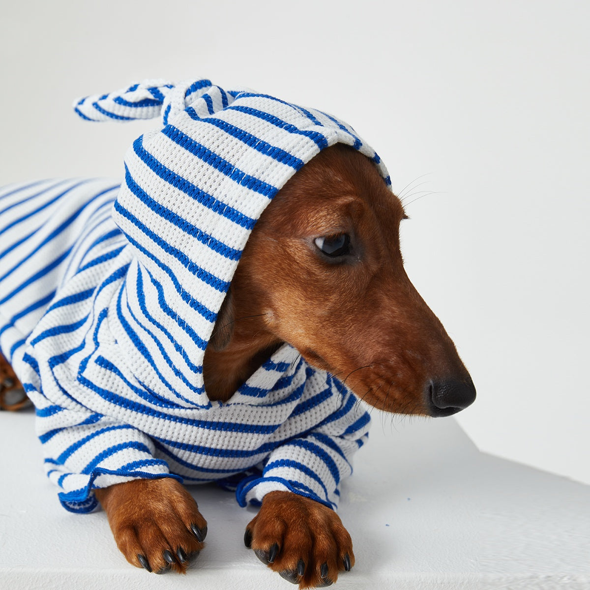 Pet Clothes Striped Hooded CAT Two Feet Apparel