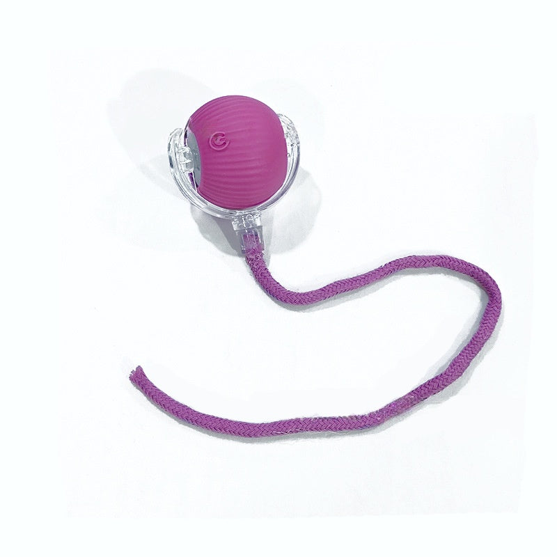 Kitten Rechargeable Smart Pet Electric Toys
