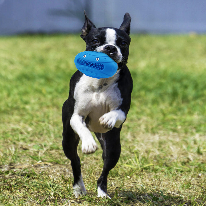 Vocal Rugby Pet Natural Rubber Molar Toy