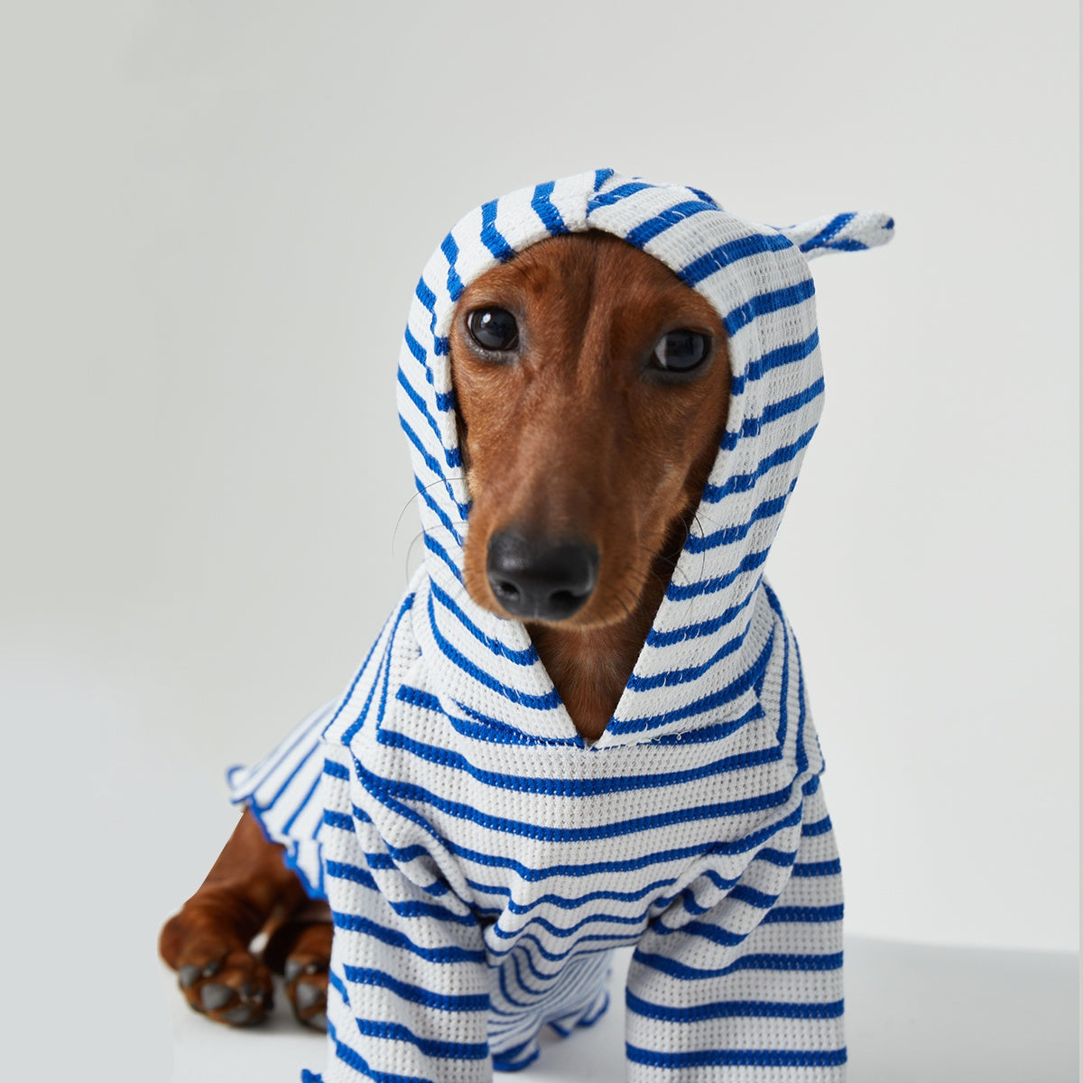 Pet Clothes Striped Hooded CAT Two Feet Apparel