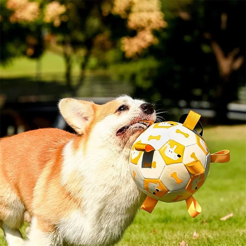 Pet Sporty Bite Chew Teething Ball With Cute Printing