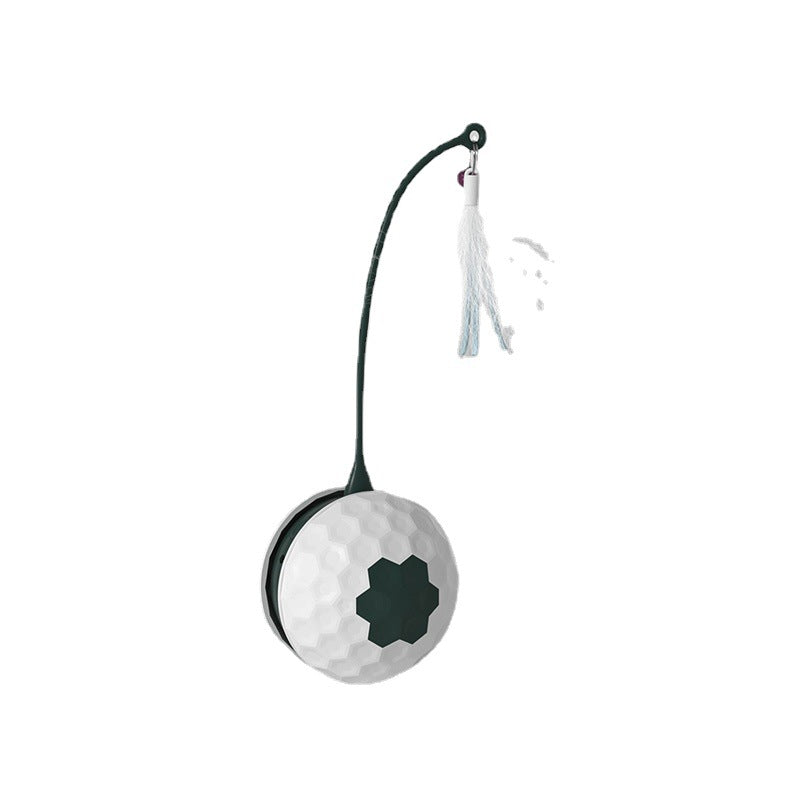 Electric Intelligent Bite Resistant Pet Cat Toys
