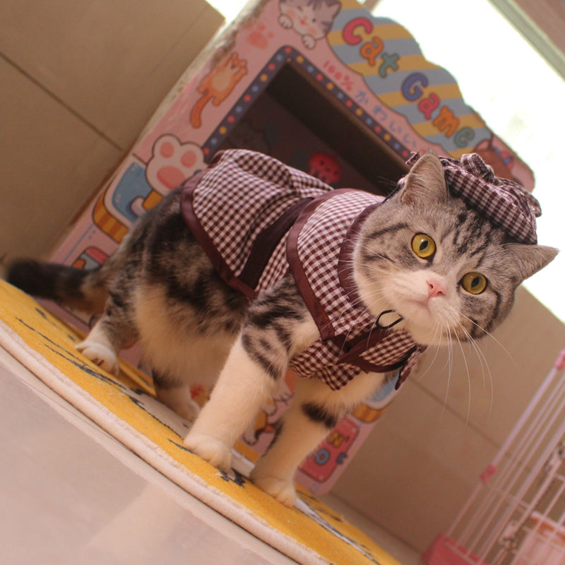 Detective Cloak Hat Suit Funny Pet Clothes