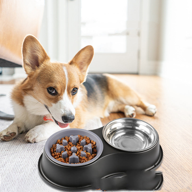 Pet Slow Removable Feeding Bowl