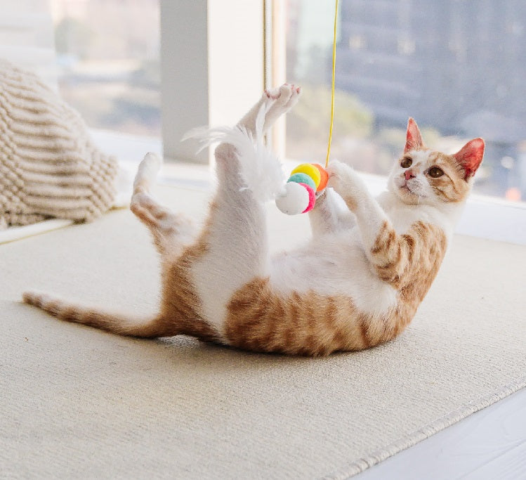 Funny Self-hey Interactive Toy Rope