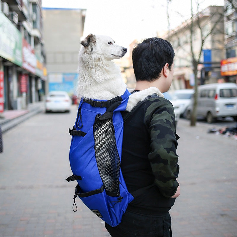 Portable Dog Carrier Backpack for Travel