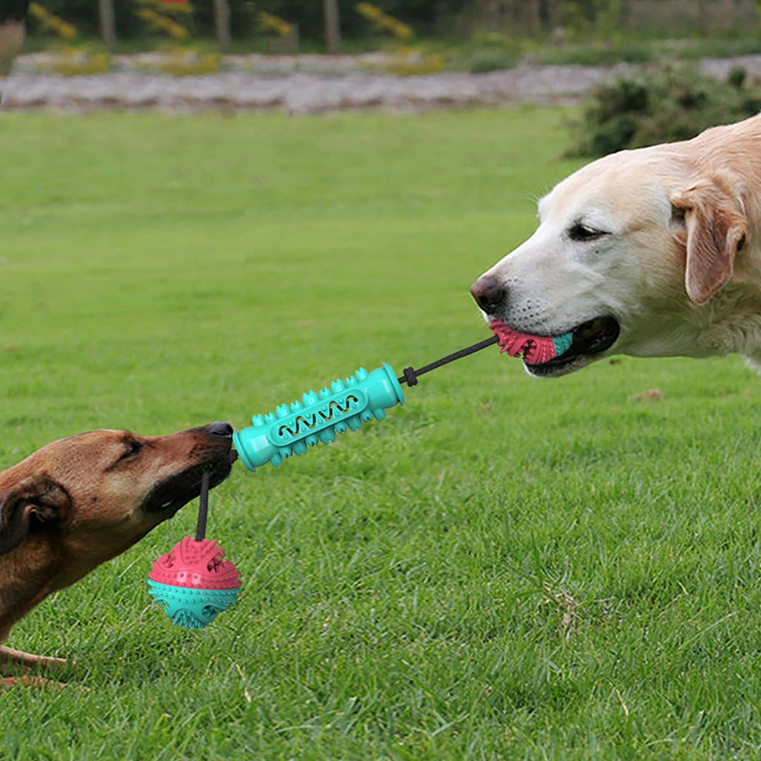 Dog Durable Chew Teeth Stick Cleaning Toy