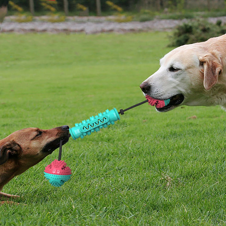 Dog Durable Chew Teeth Stick Cleaning Toy