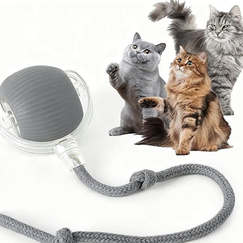 Kitten Rechargeable Smart Pet Electric Toys