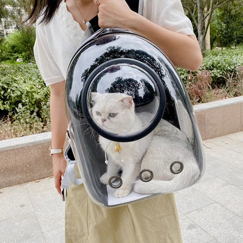 Transparent Cat Backpack with Large Capacity