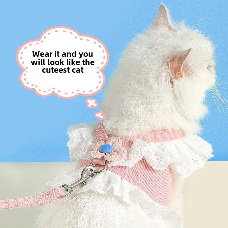 Puppy Dog Collar Leash Safety Walking Set