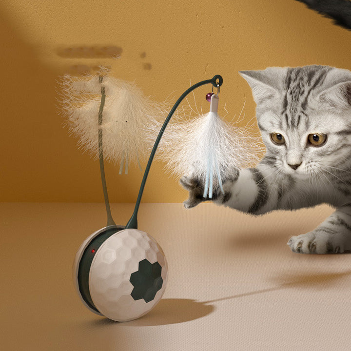 Electric Intelligent Bite Resistant Pet Cat Toys