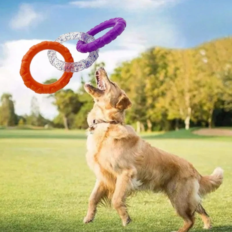 Pet Flying Disk Training Ring Interactive Toy