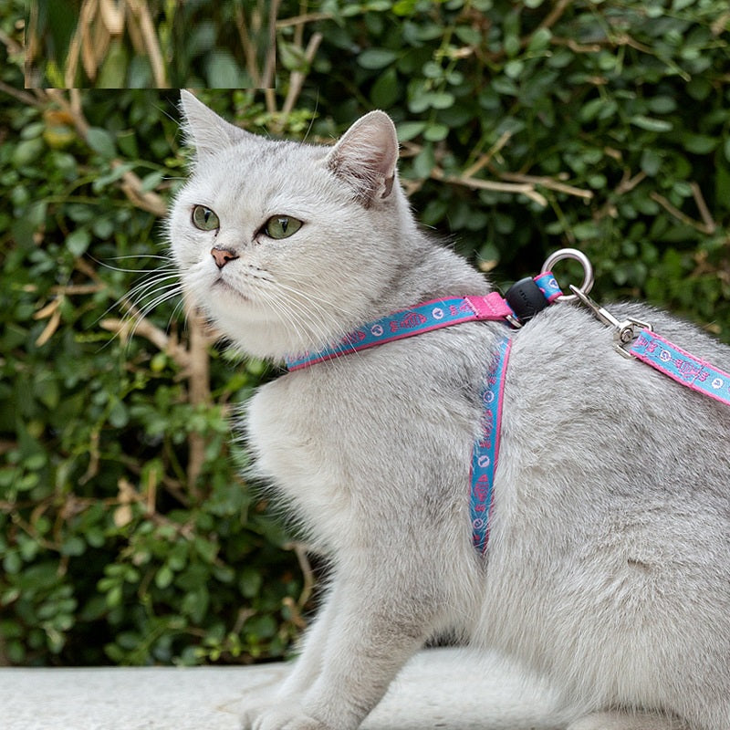 Cat Bell Vest Harness with Leash