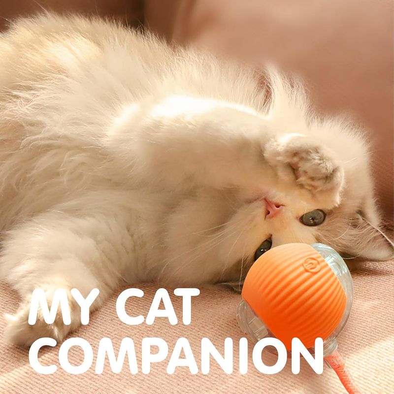 Kitten Rechargeable Smart Pet Electric Toys