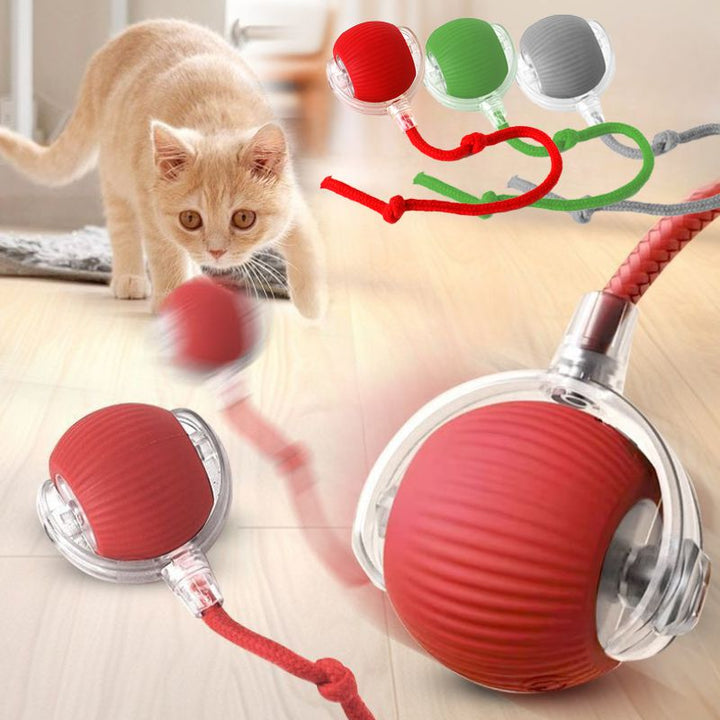 Kitten Rechargeable Smart Pet Electric Toys