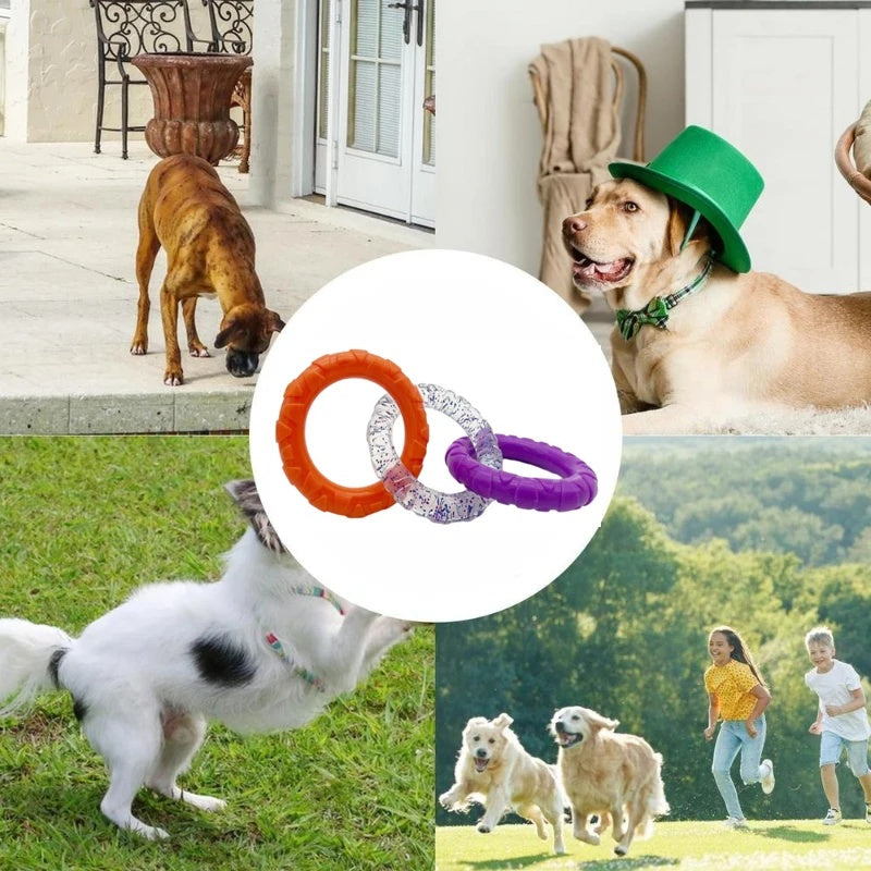 Pet Flying Disk Training Ring Interactive Toy