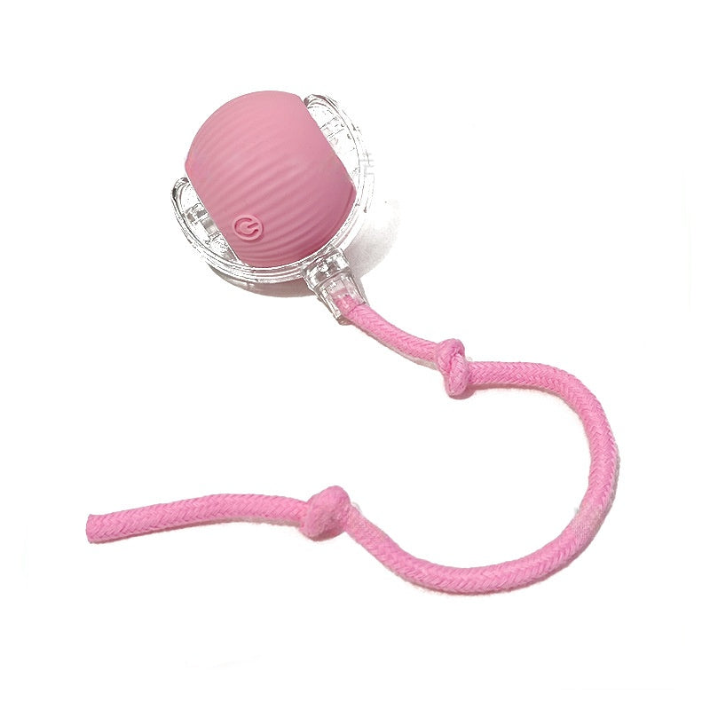 Kitten Rechargeable Smart Pet Electric Toys