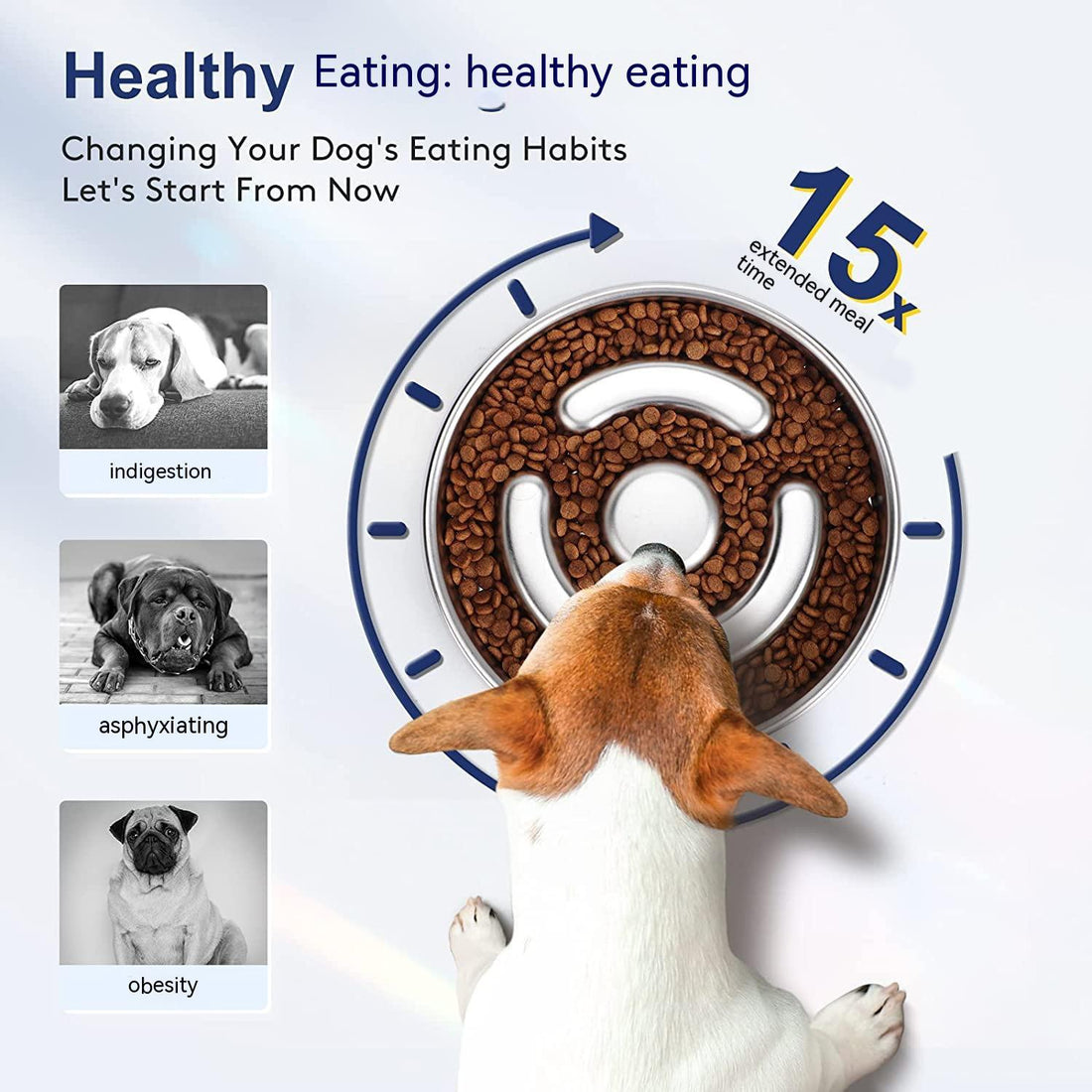Pet Slow Stainless Steel Neck Protector Feeding Bowl
