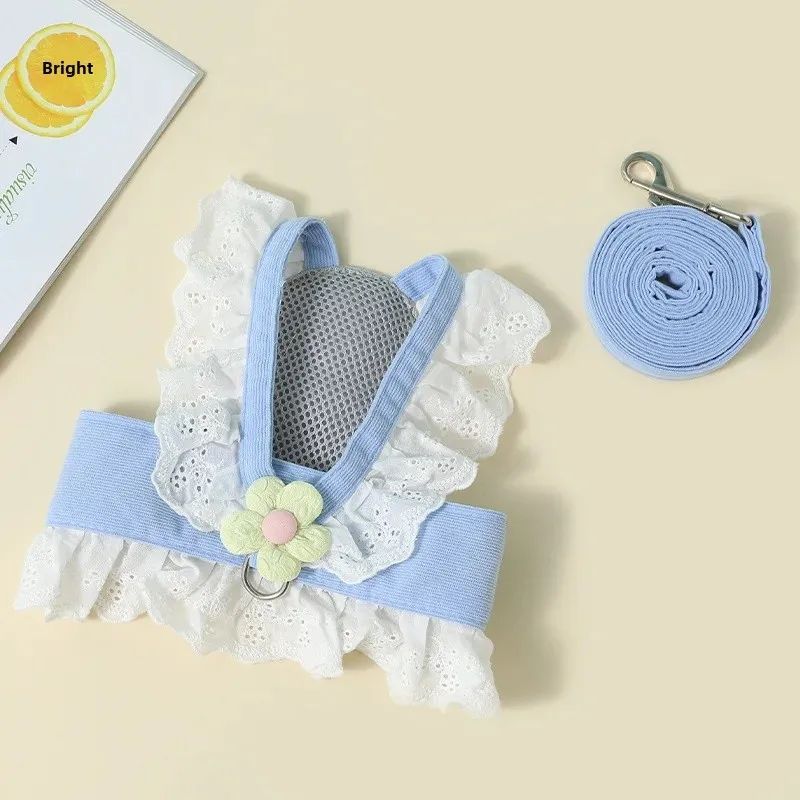 Puppy Dog Collar Leash Safety Walking Set
