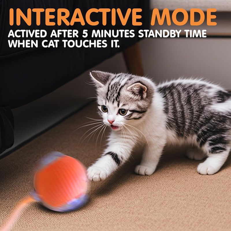 Kitten Rechargeable Smart Pet Electric Toys