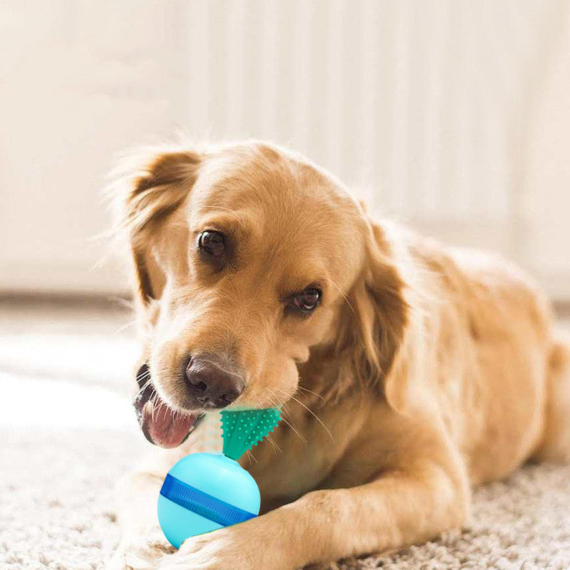 Pet Does Not Fall Down Leakage Food Ball Toys