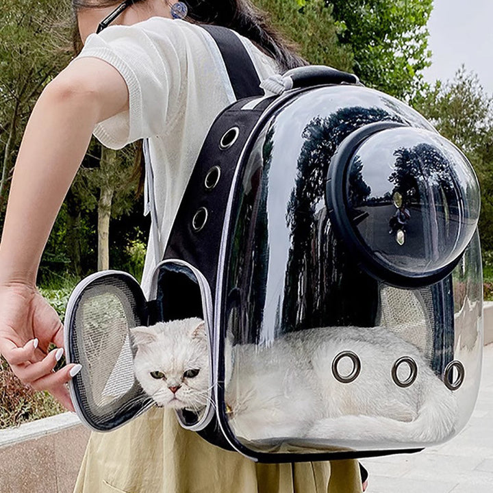 Transparent Cat Backpack with Large Capacity