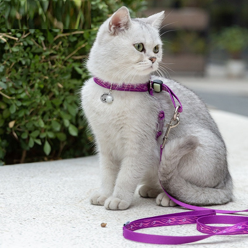 Cat Bell Vest Harness with Leash
