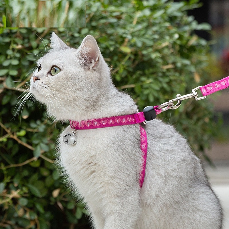 Cat Bell Vest Harness with Leash