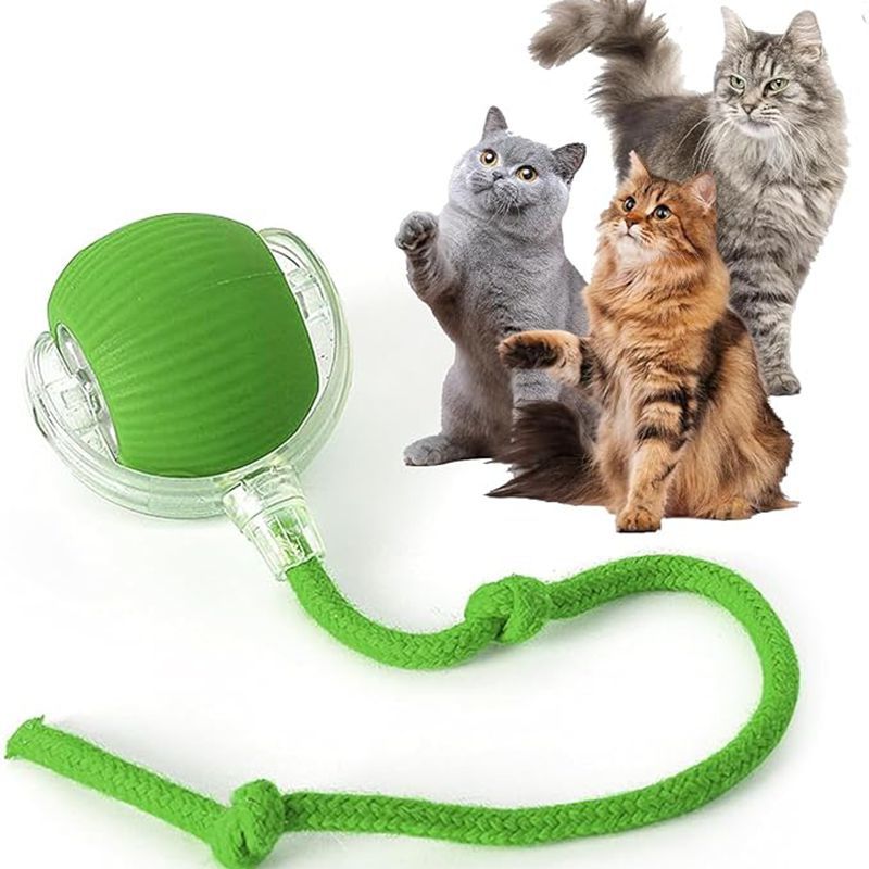 Kitten Rechargeable Smart Pet Electric Toys